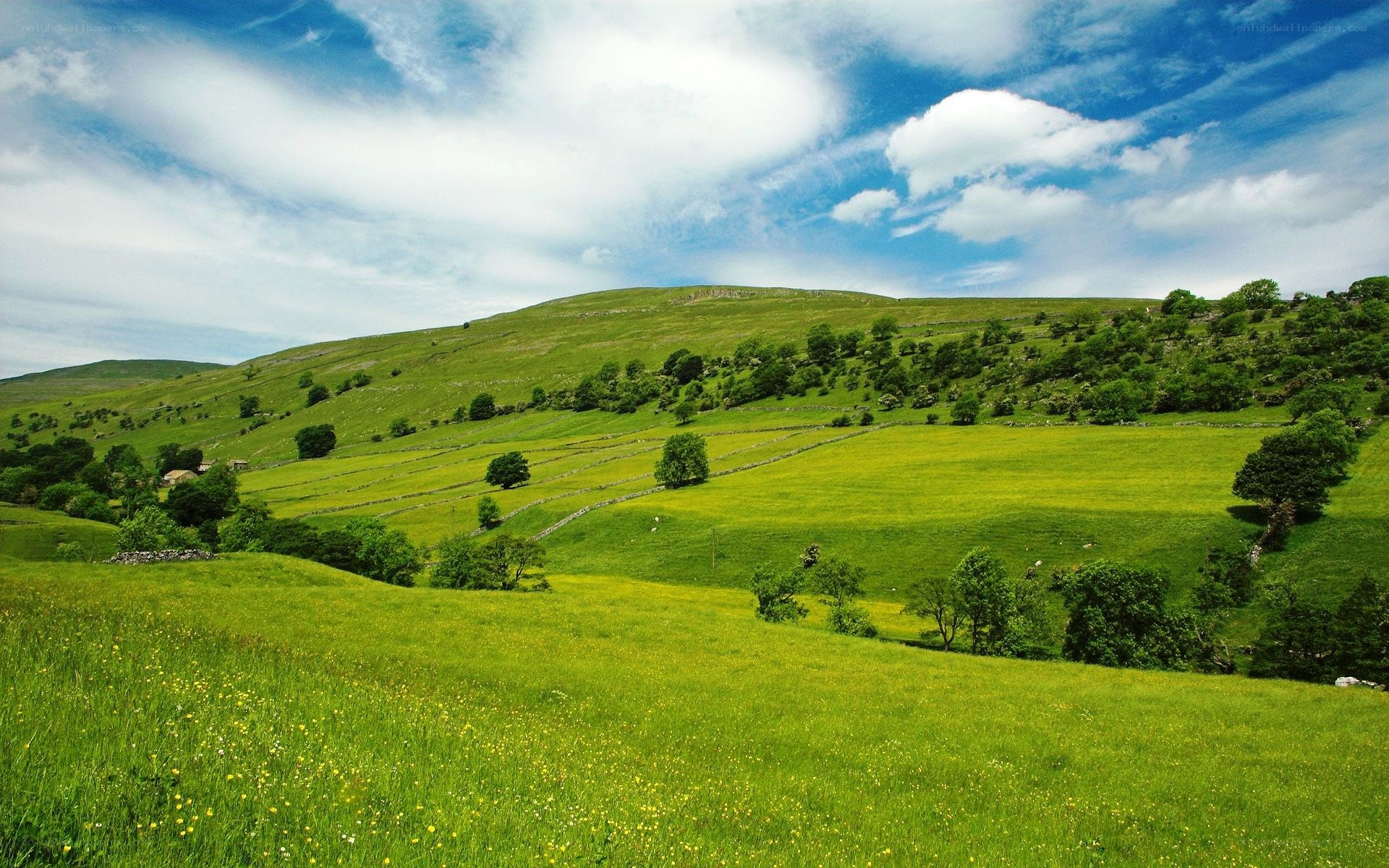 Green hills under blue sky