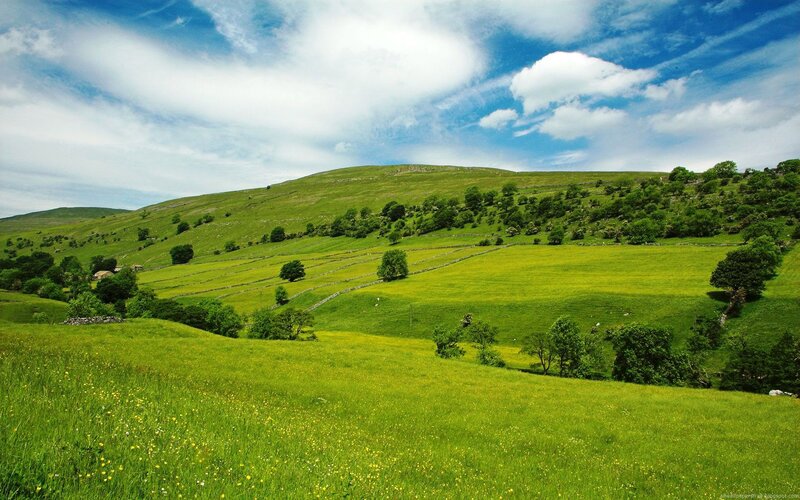 Green hills under blue sky
