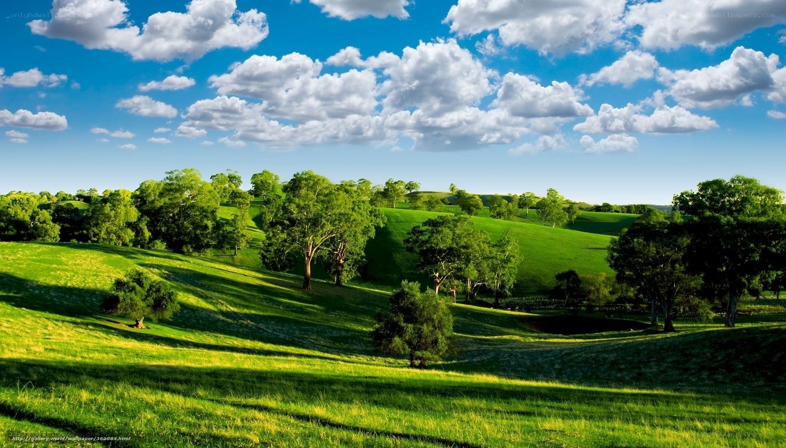 Green hills under blue sky