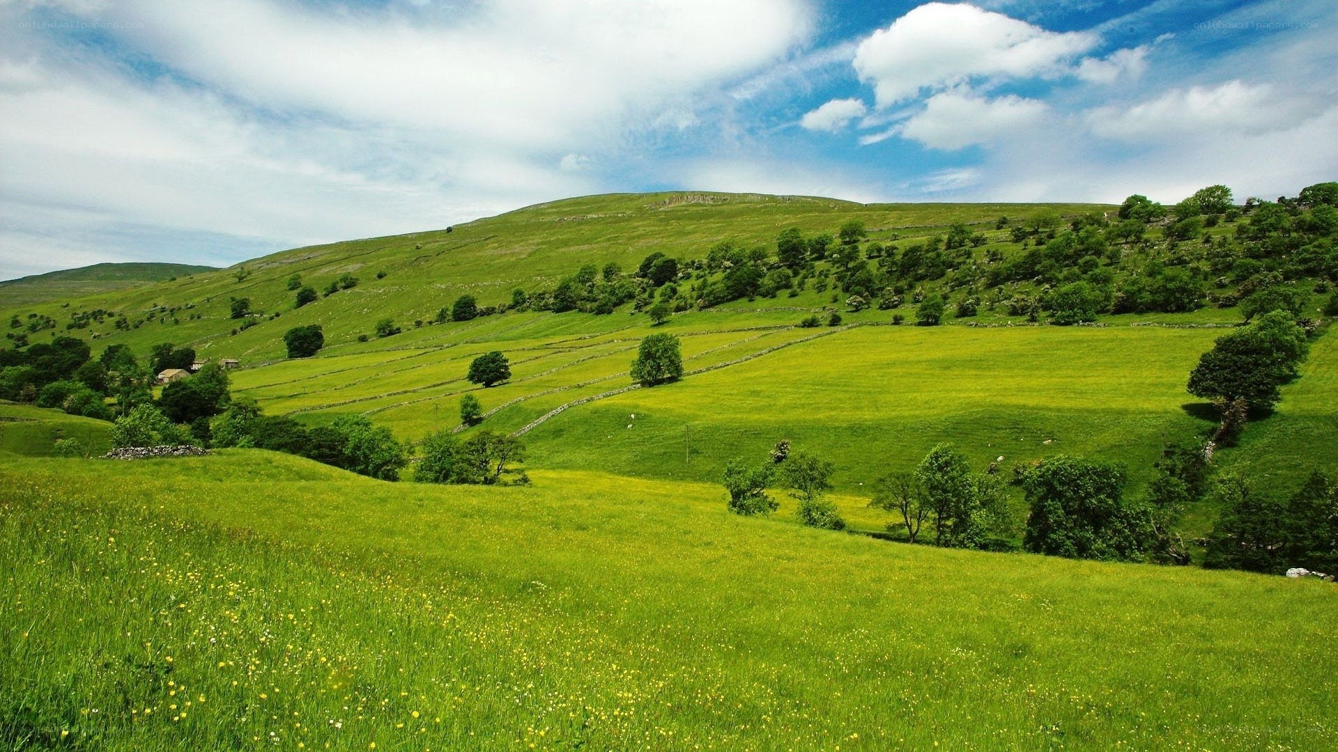 Green hills under blue sky
