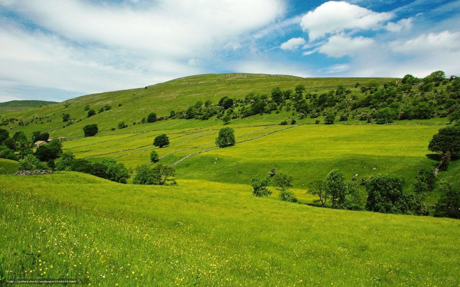 Green hills under blue sky