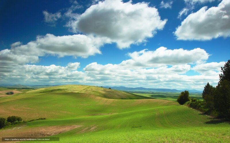 Green hills under blue sky