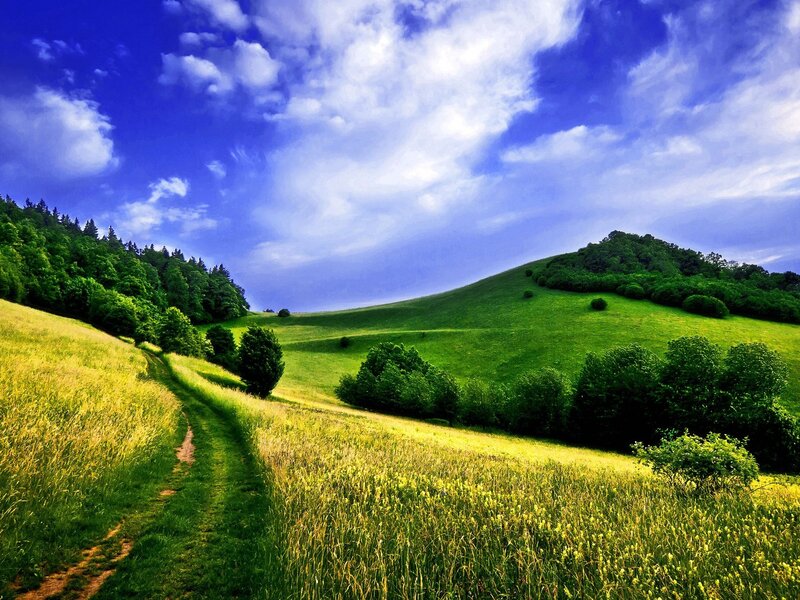 Green hills under blue sky