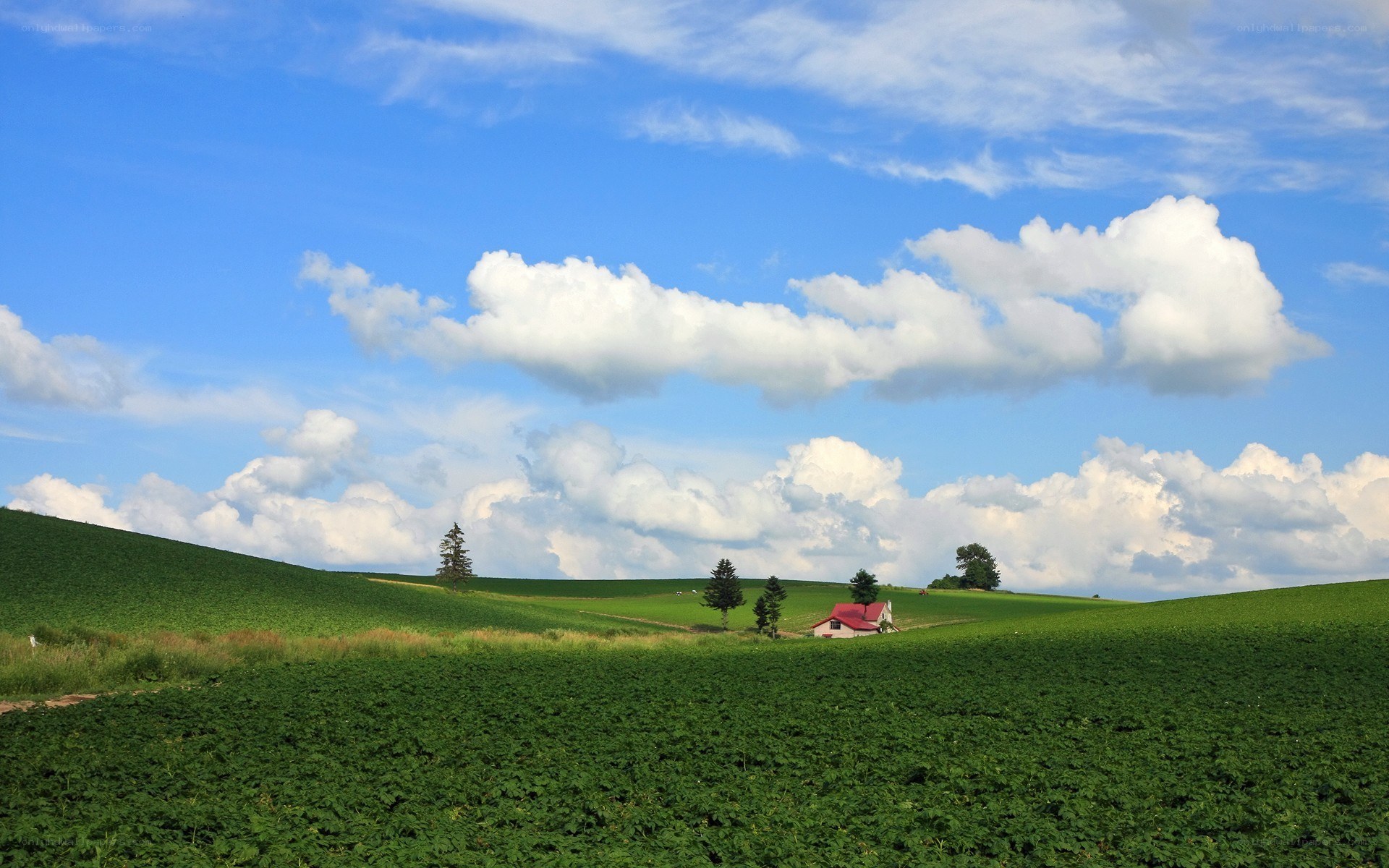 Green hills under blue sky