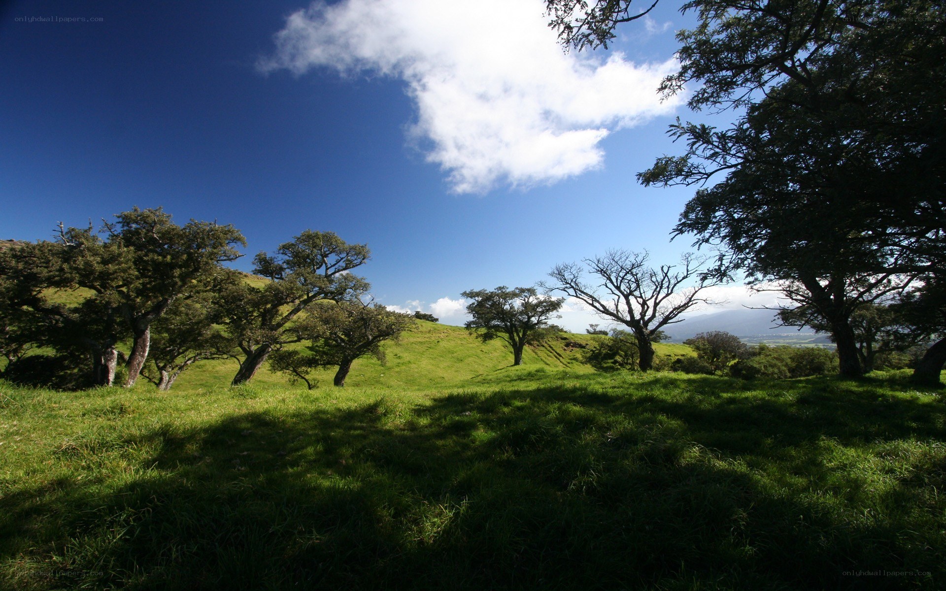 Green hills under blue sky