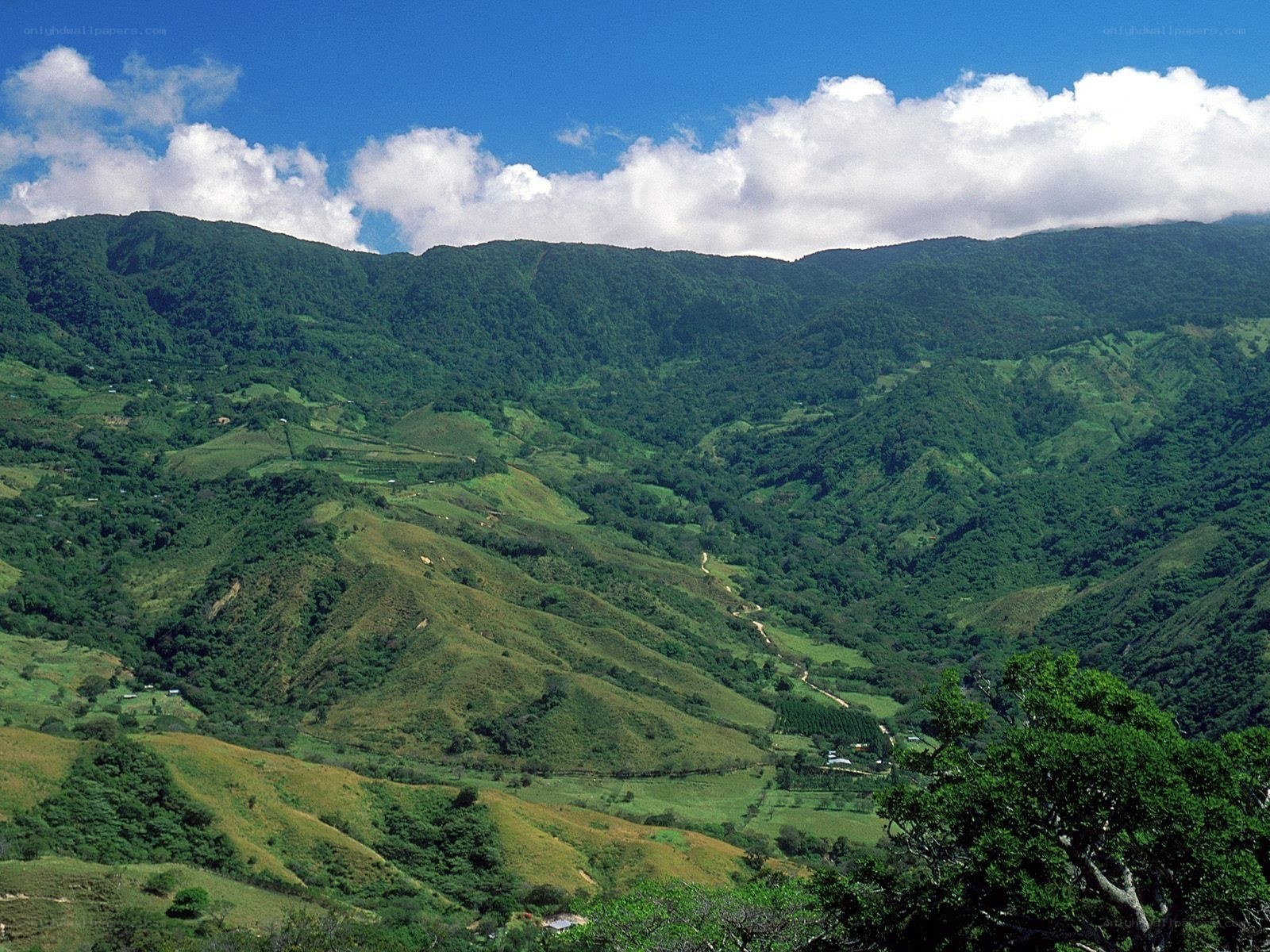 Green hills under blue sky