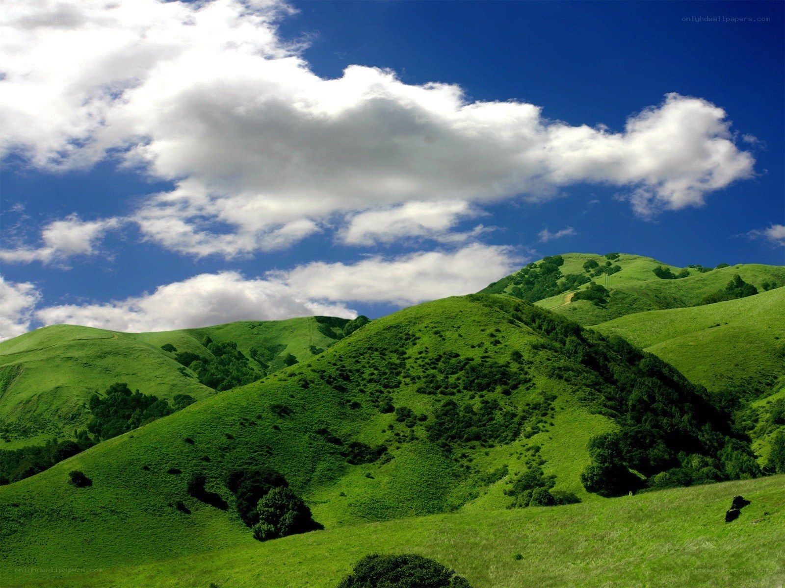 Green hills under blue sky