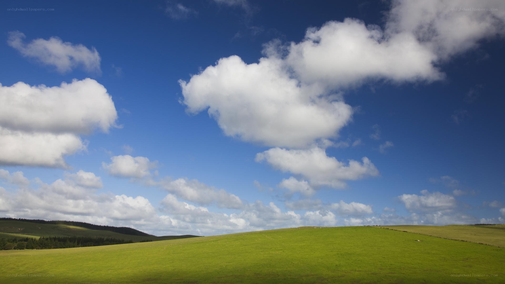 Green hills under blue sky