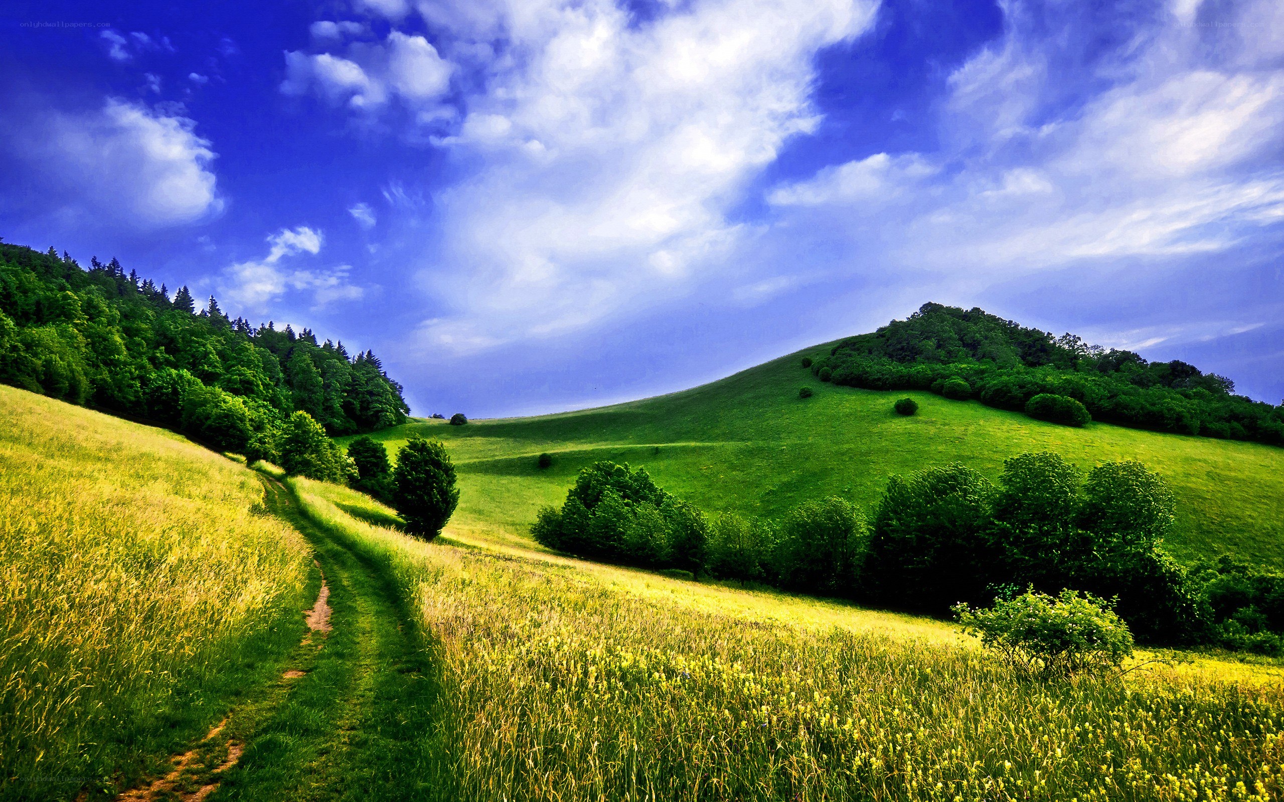 Green hills under blue sky