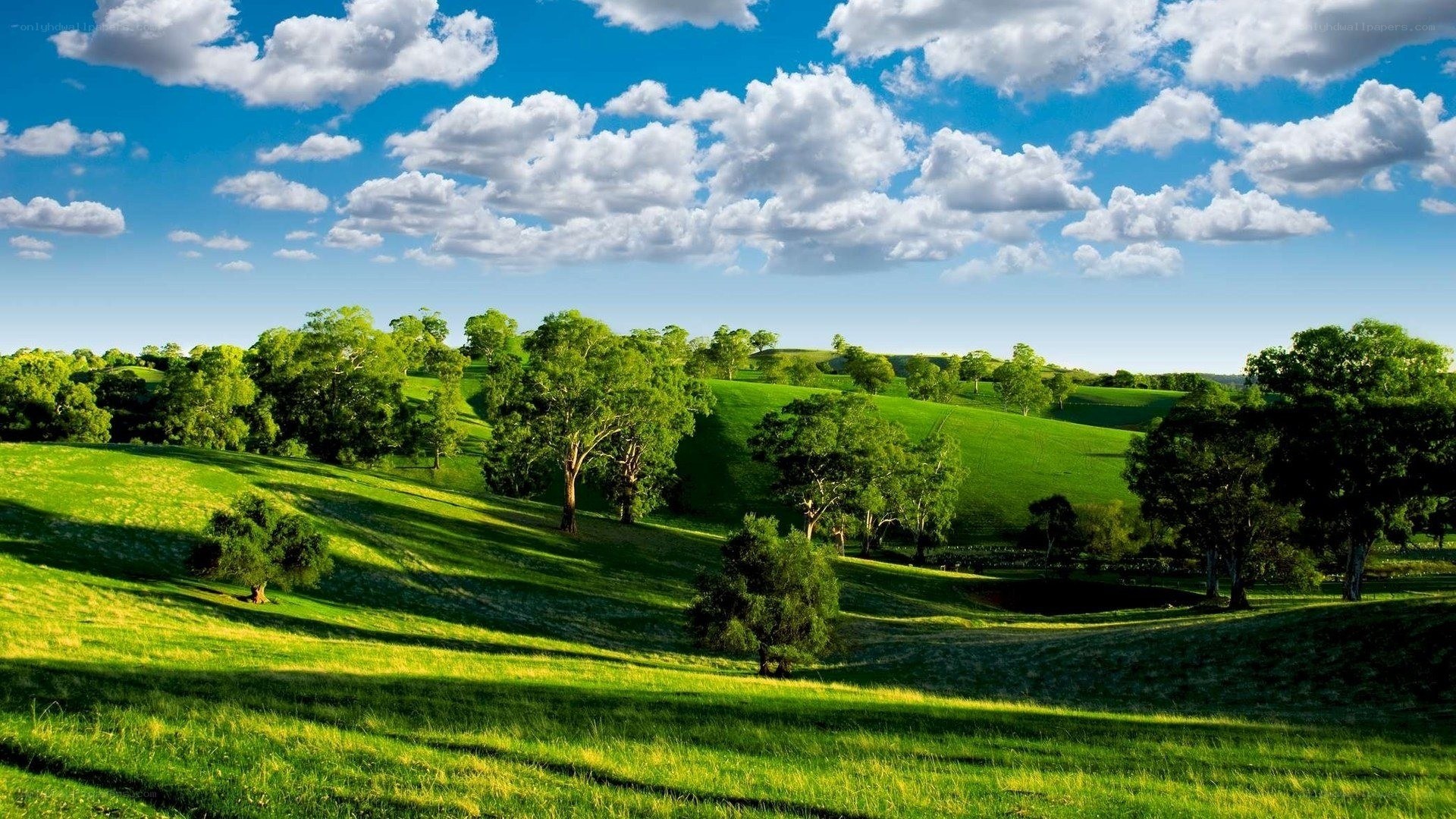 Green hills under blue sky