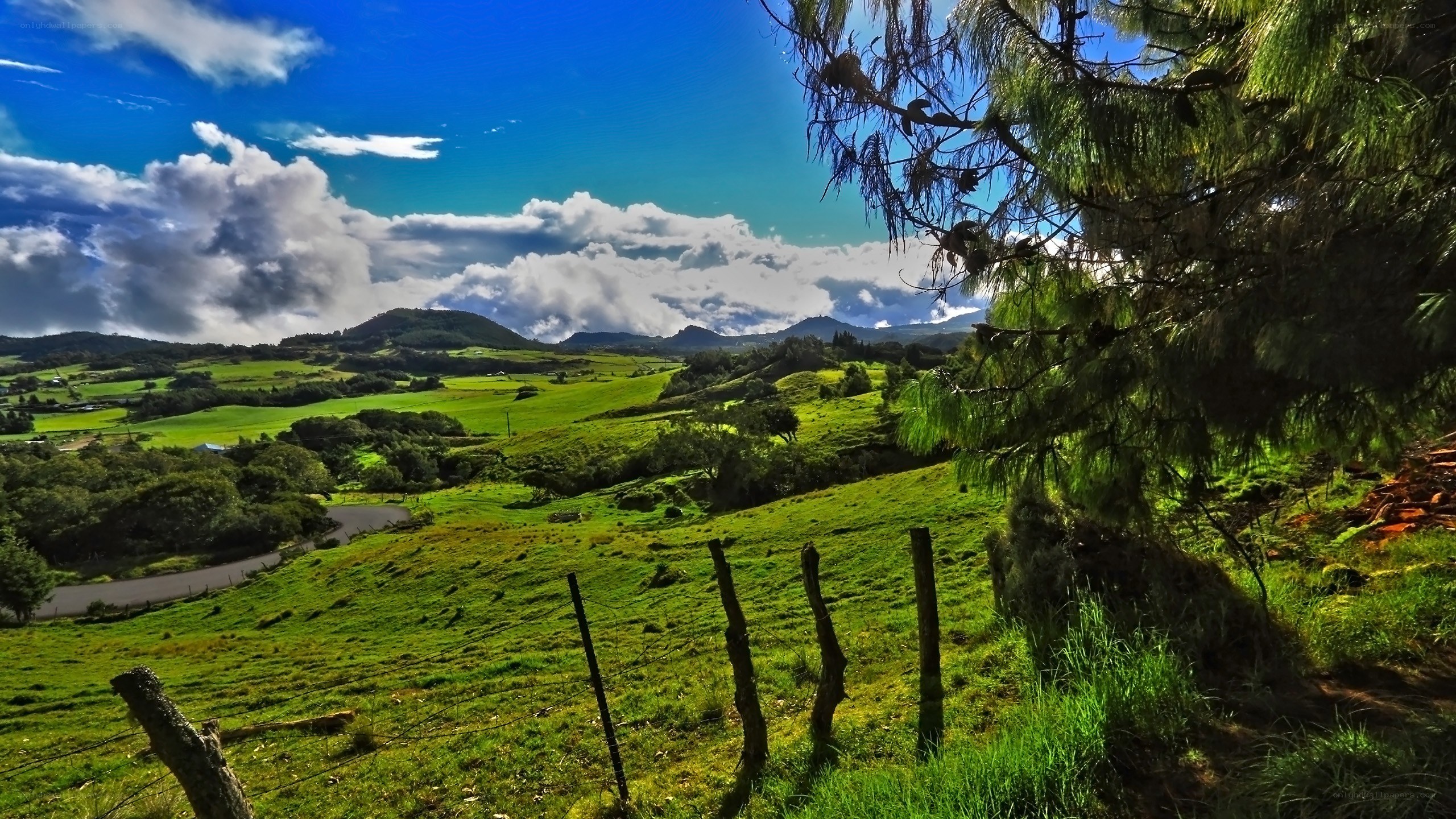 Green hills under blue sky