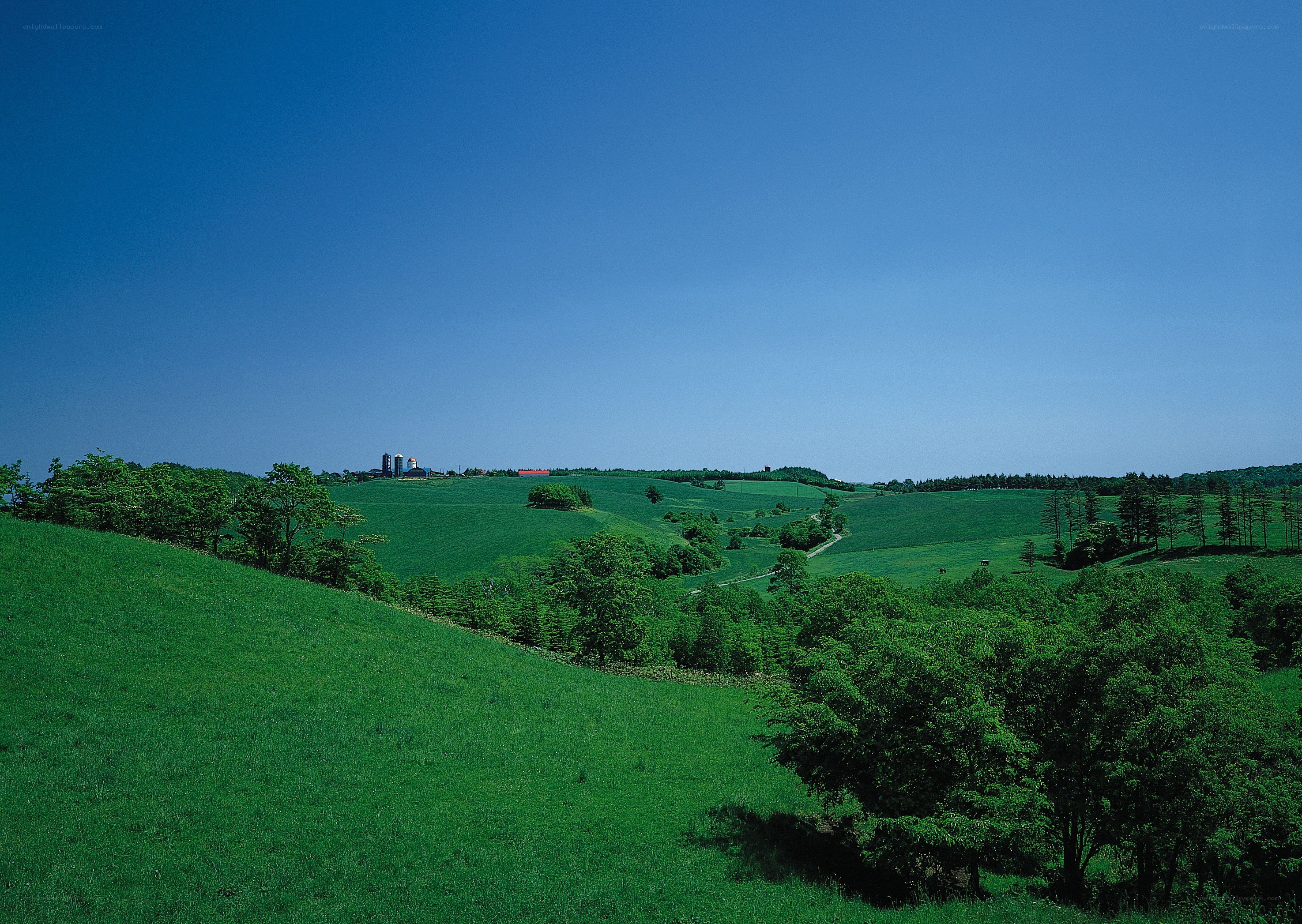 Green hills under blue sky