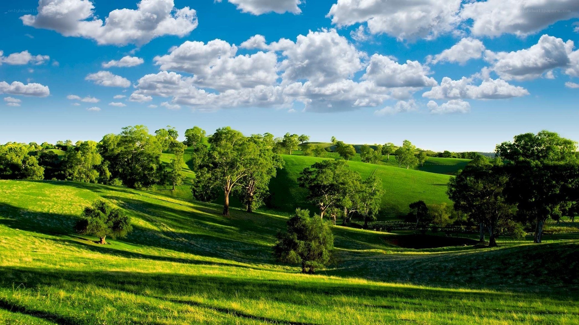 Green hills under blue sky
