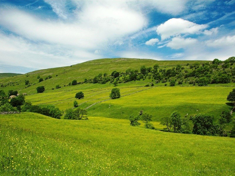 Green hills under blue sky