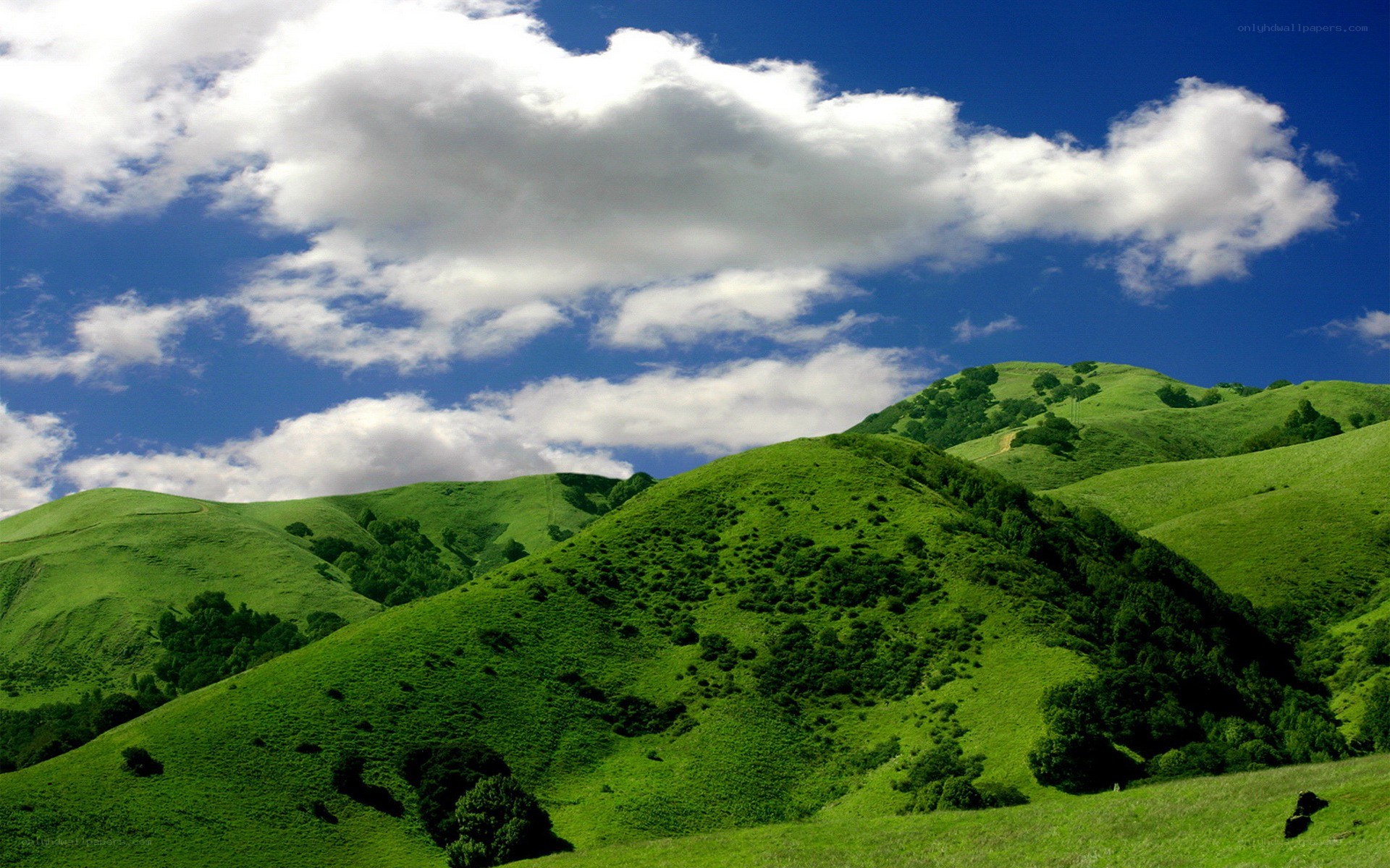 Green hills under blue sky