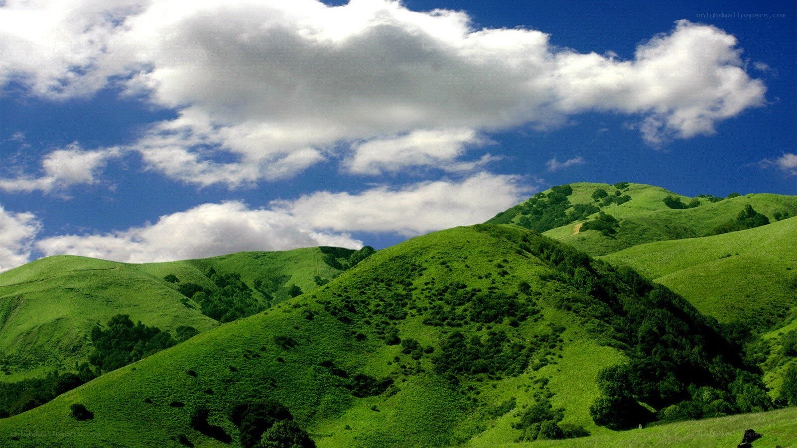 Green hills under blue sky