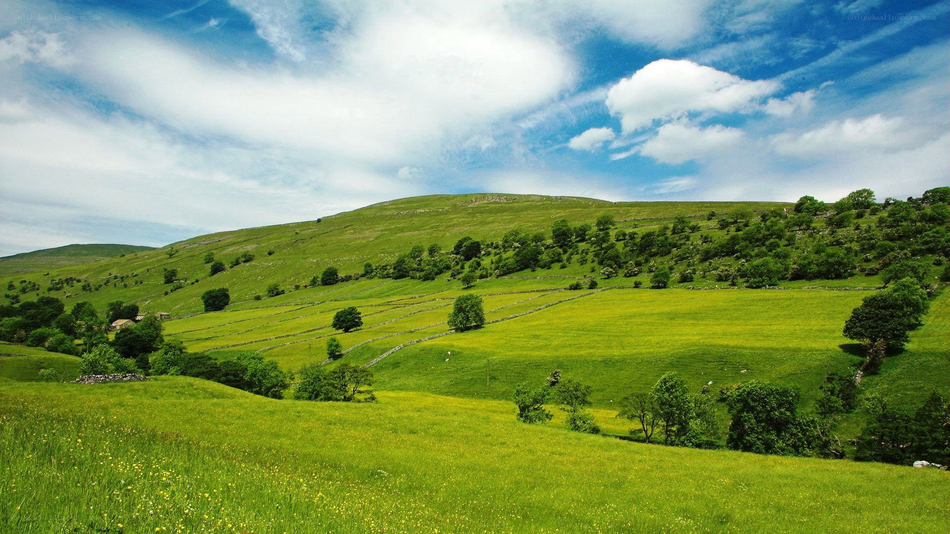 Green hills under blue sky