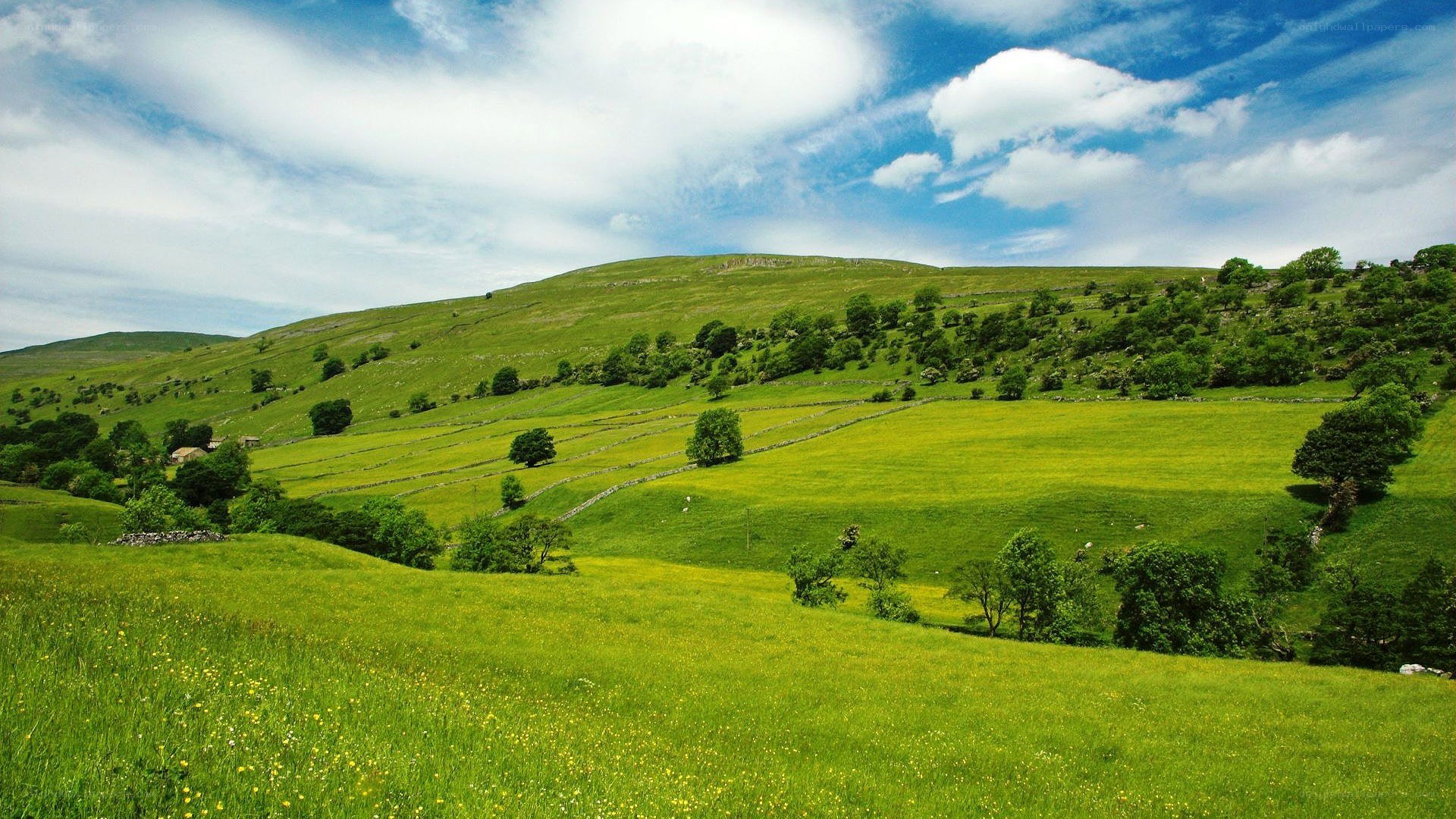 Green hills under blue sky
