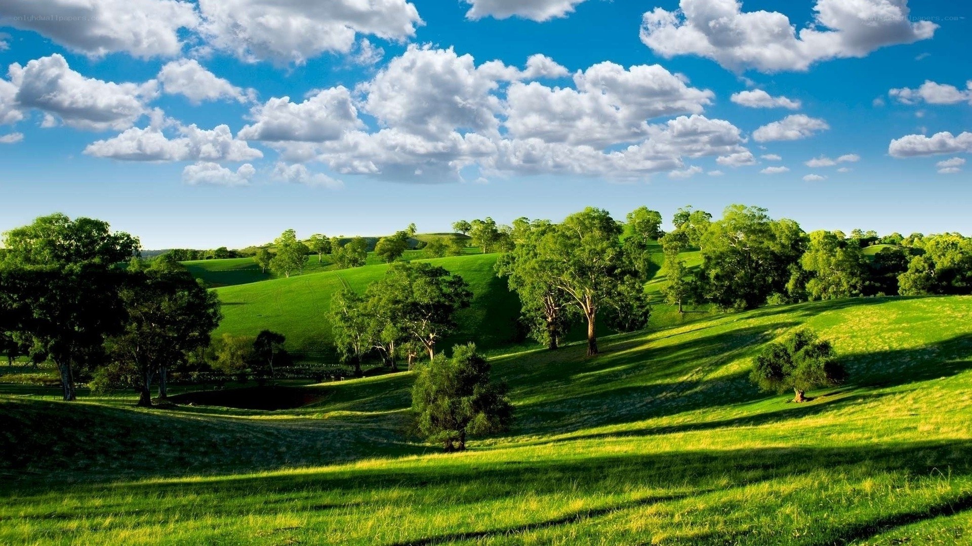 Green hills under blue sky