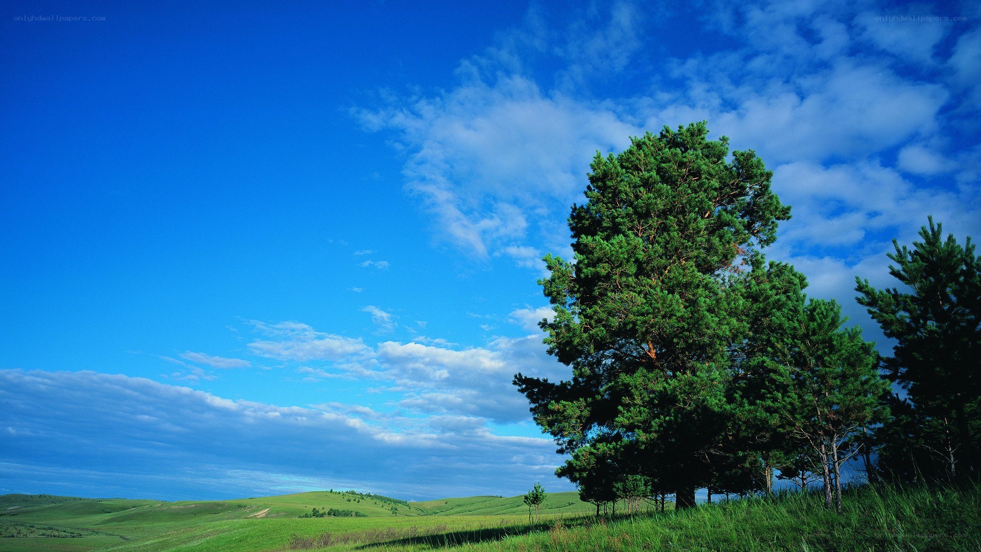 Green hills under blue sky