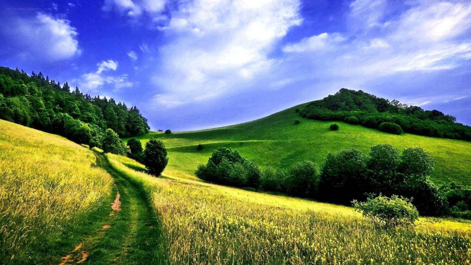 Green hills under blue sky