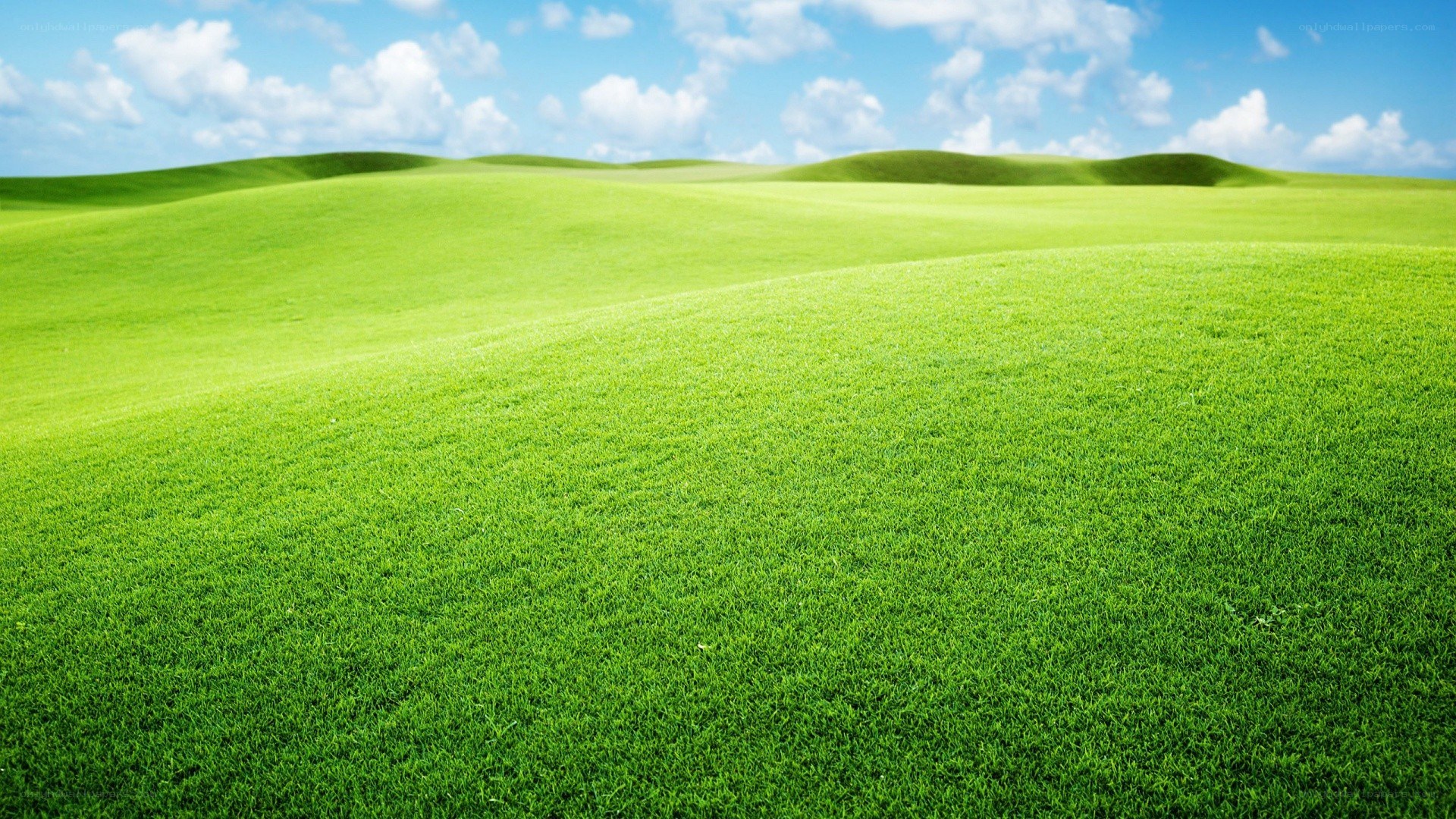 green hills under blue sky