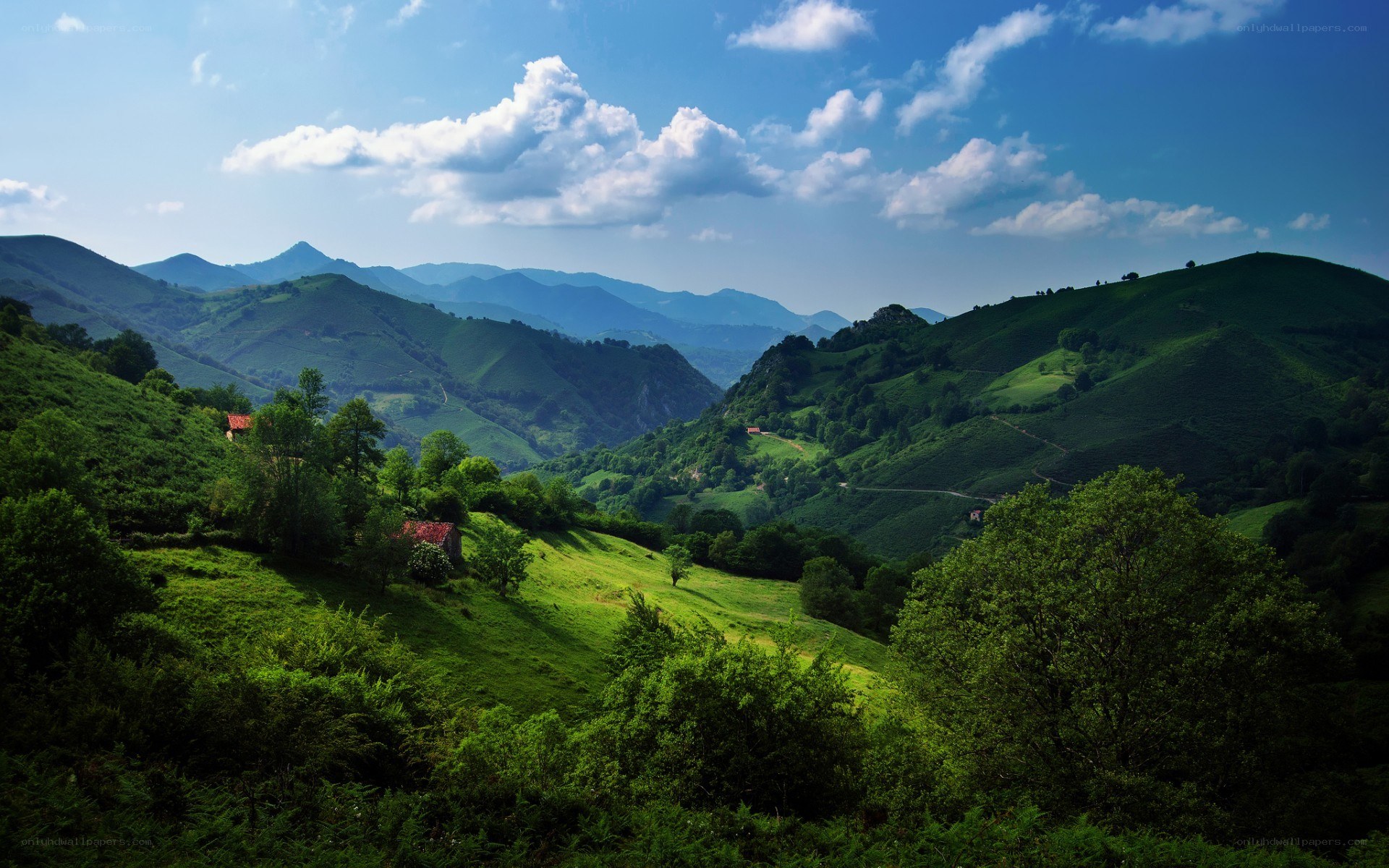 Green hills under blue sky