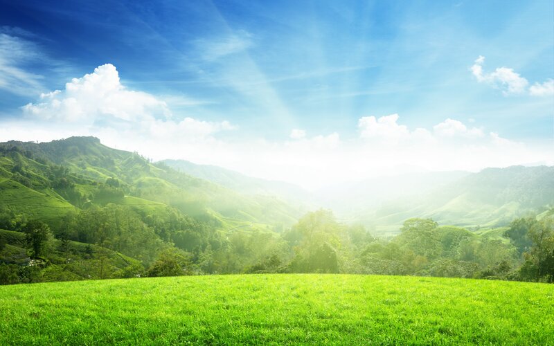 Green Hills under Blue Sky — Serene, Morning