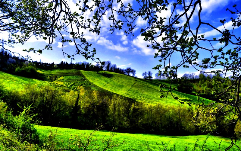Green Hills under Blue Sky — Serene, Spring