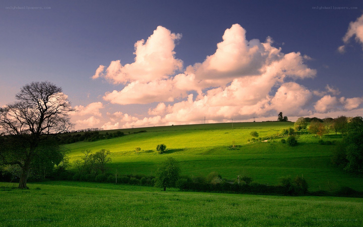Green hills under cloudy sky