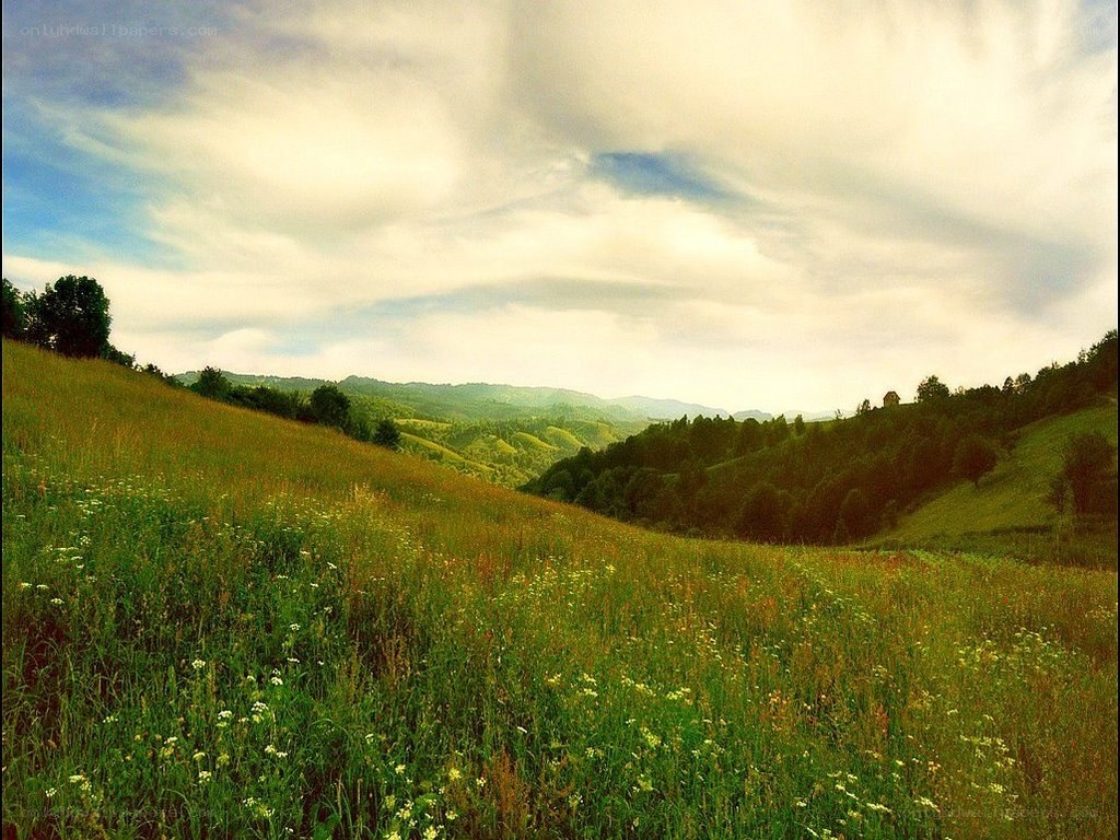 Green hills under cloudy sky