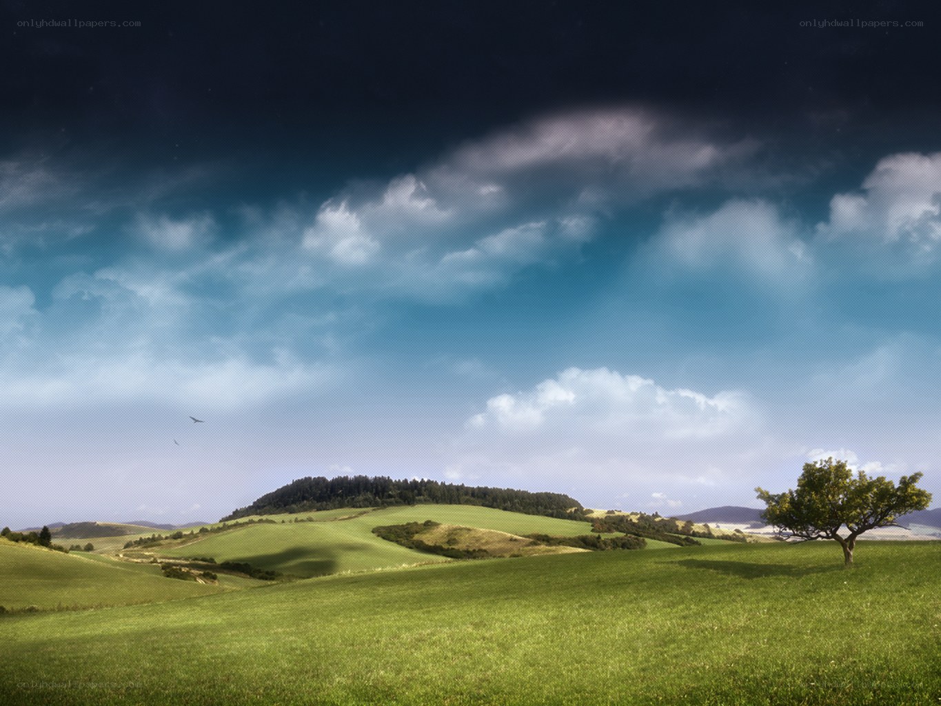 Green hills under cloudy sky