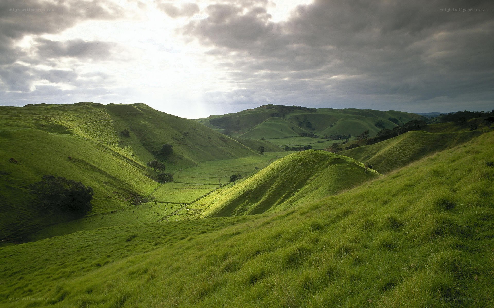 Green hills under cloudy sky