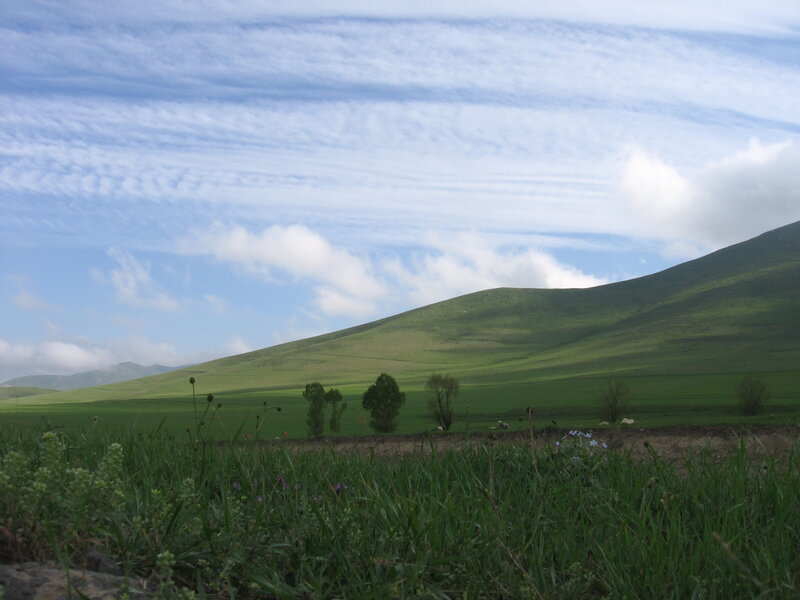 Green hills under cloudy sky