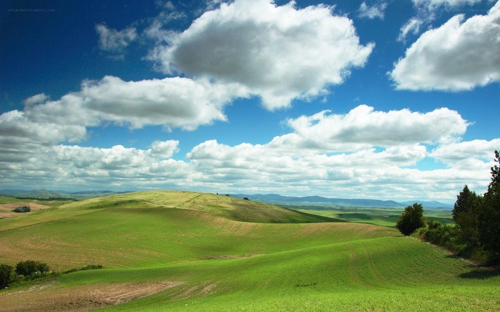 Green hills under cloudy sky