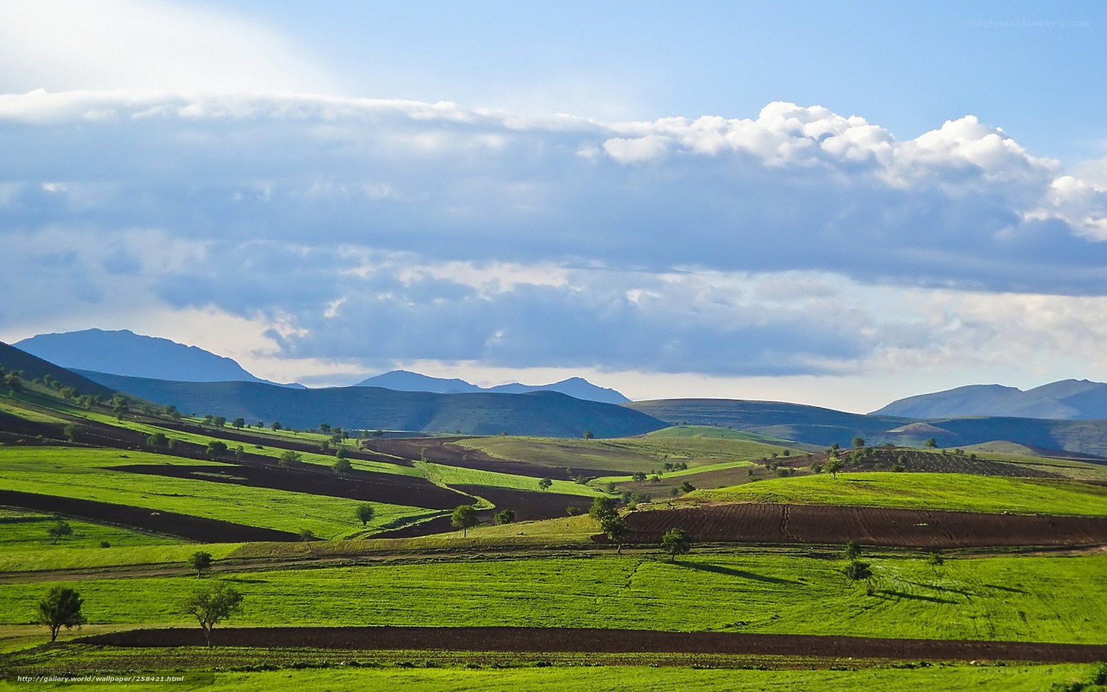 Green hills under cloudy sky