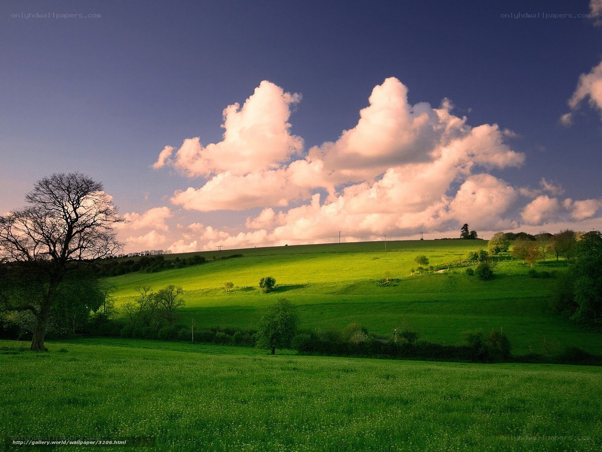 Green Hills Under Cloudy Sky