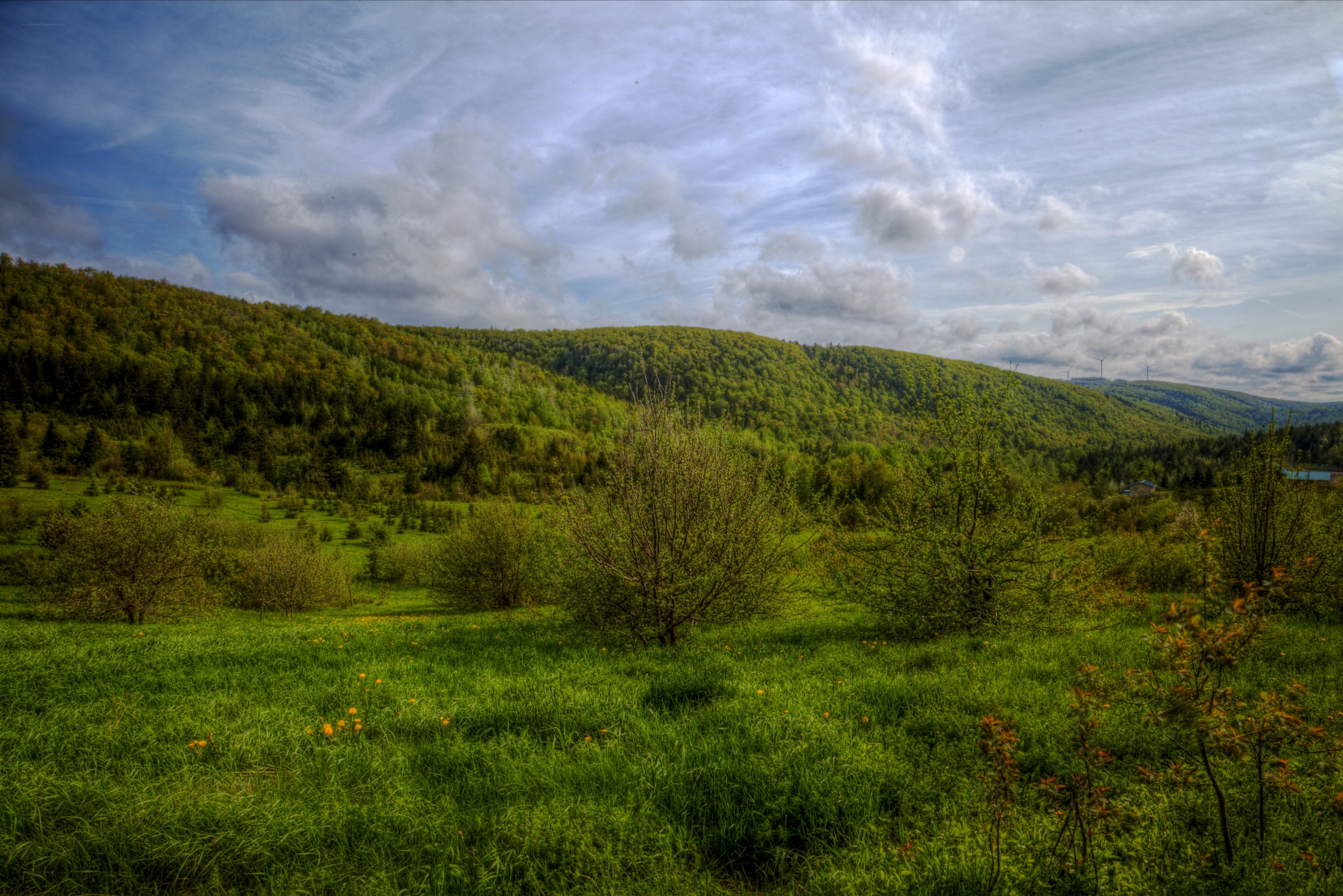 Green hills under cloudy sky