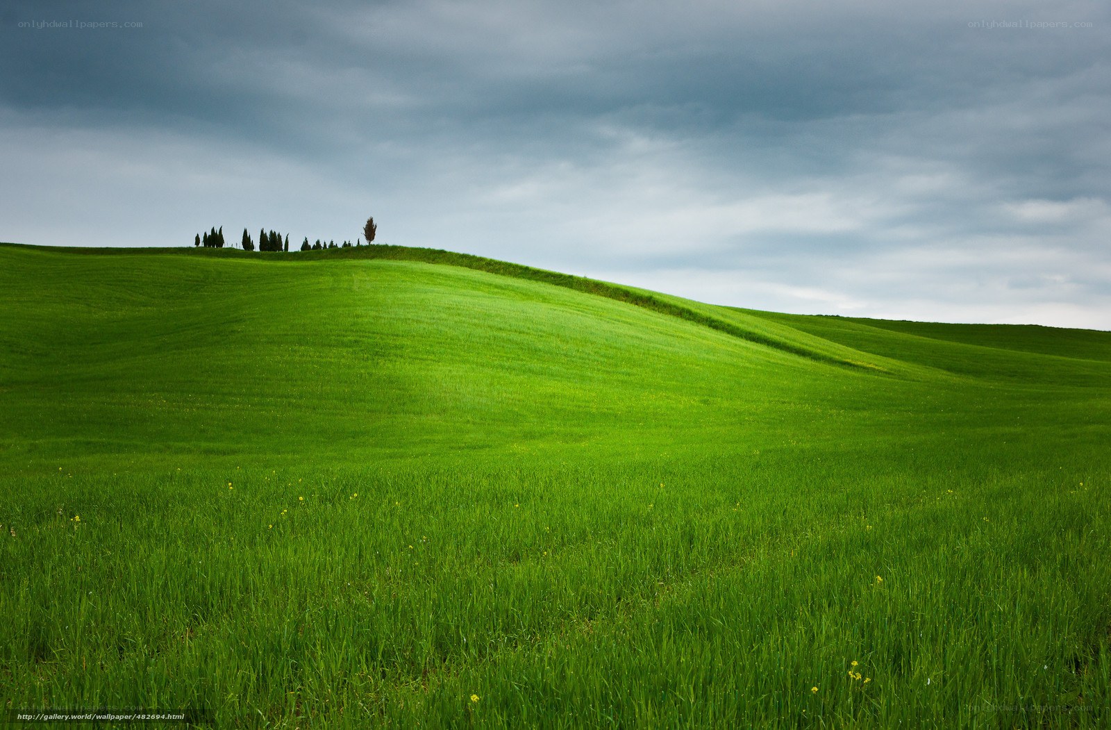 Green hills under cloudy sky
