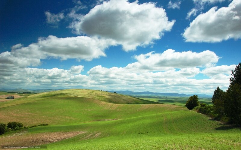 Green hills under cloudy sky