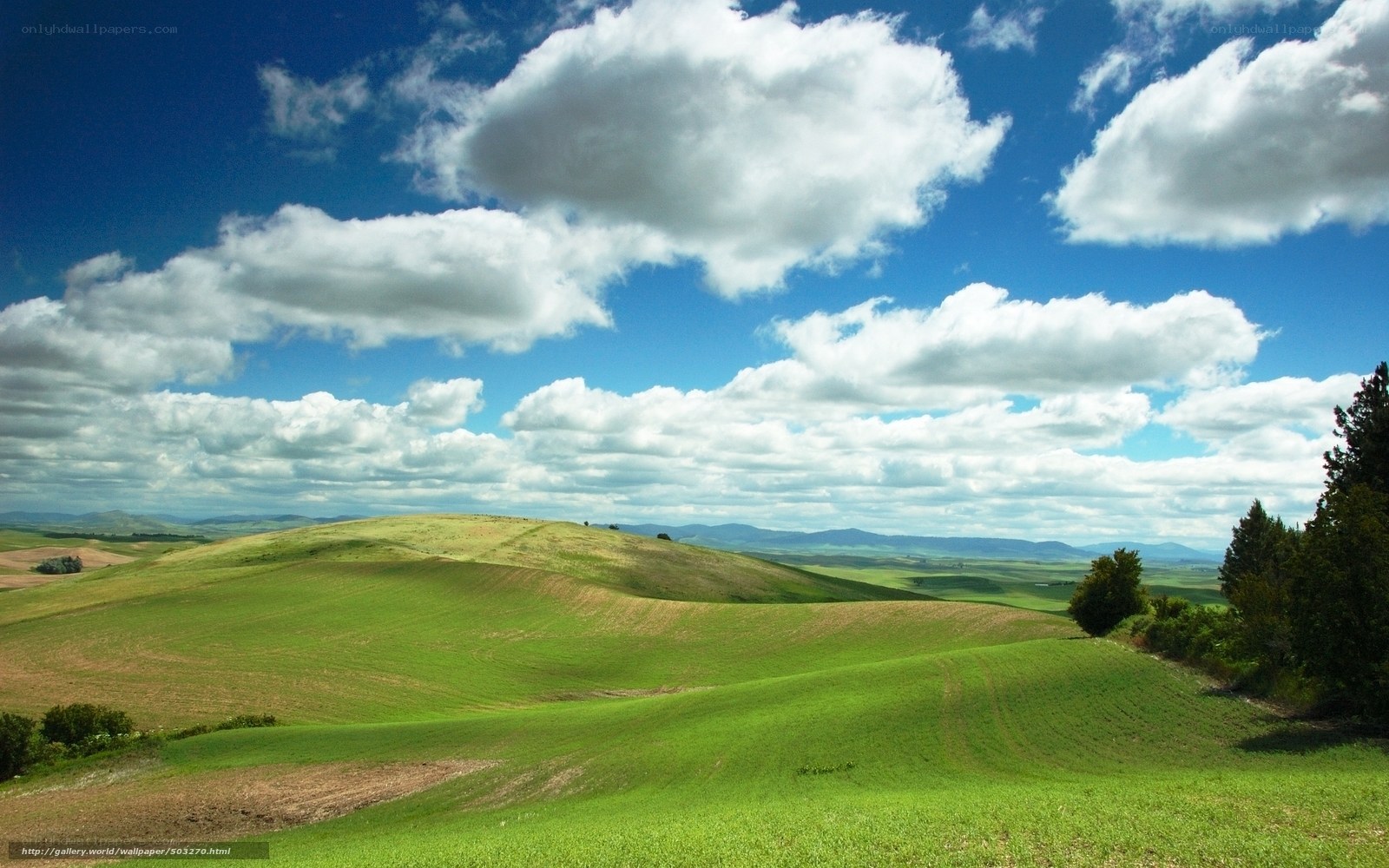 Green hills under cloudy sky