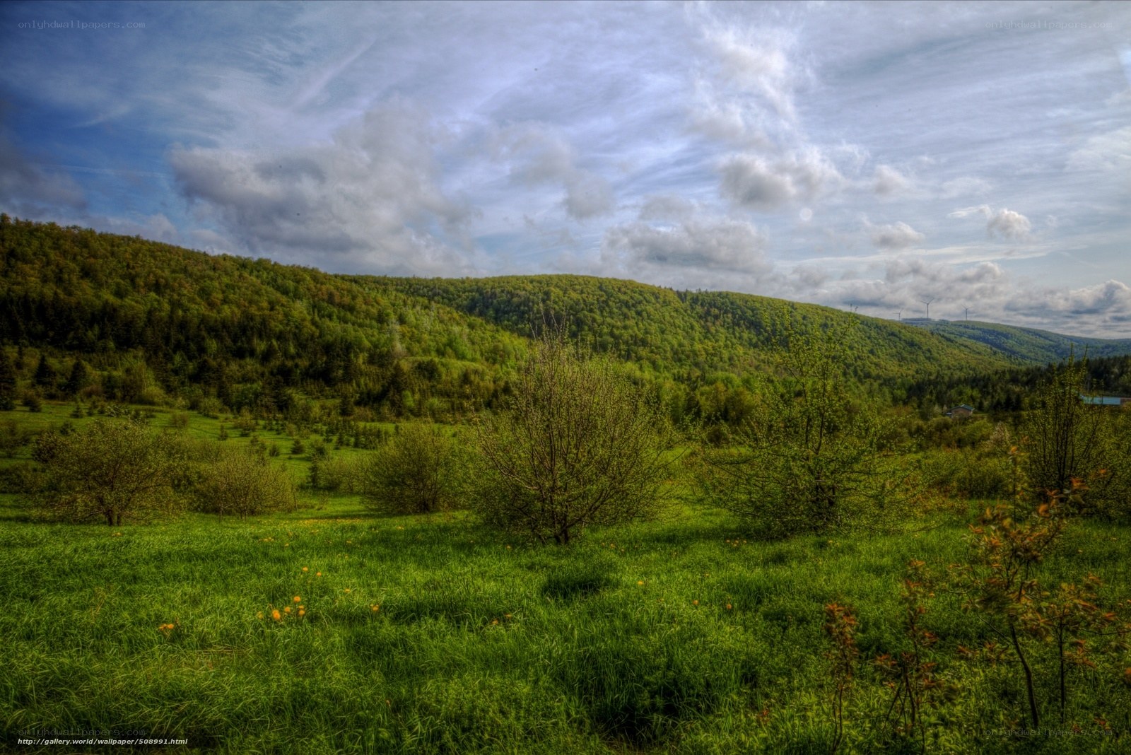 Green hills under cloudy sky