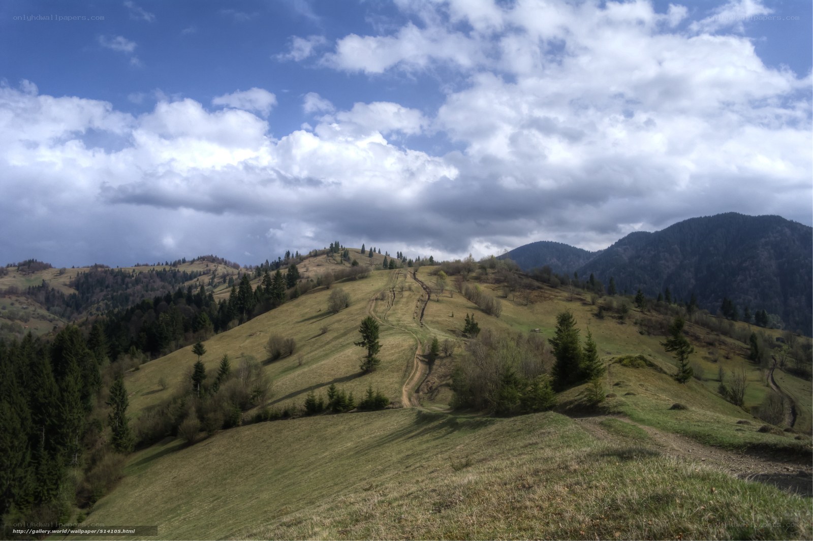 Green hills under cloudy sky