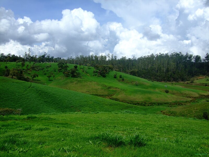Green hills under cloudy sky