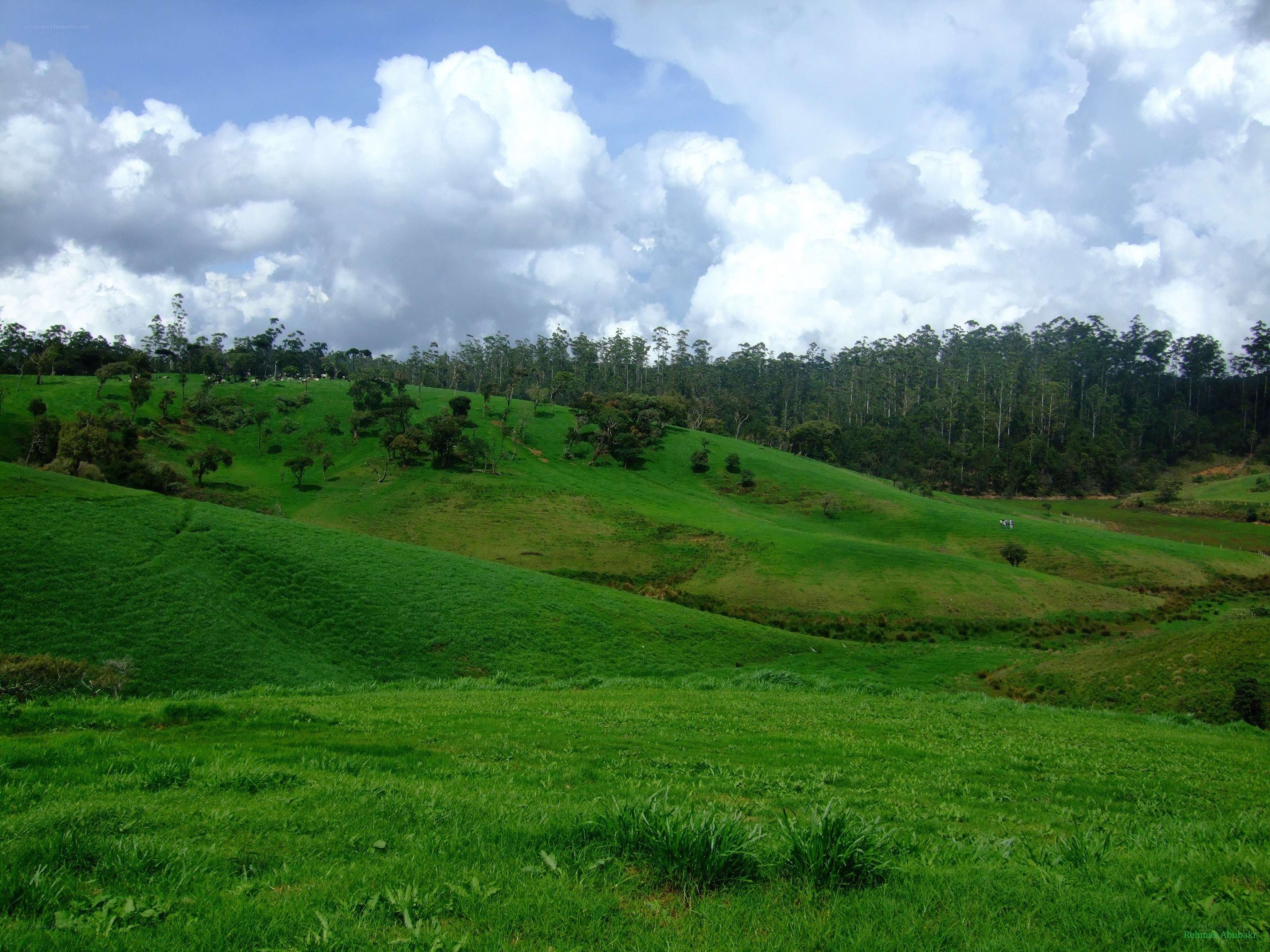 Green hills under cloudy sky