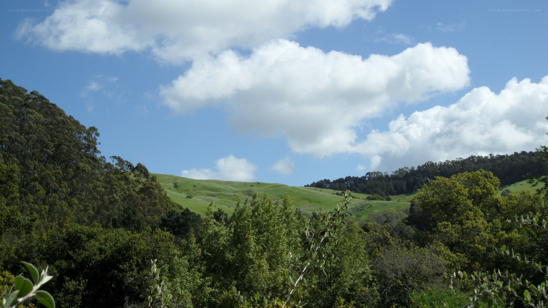 Green hills under cloudy sky