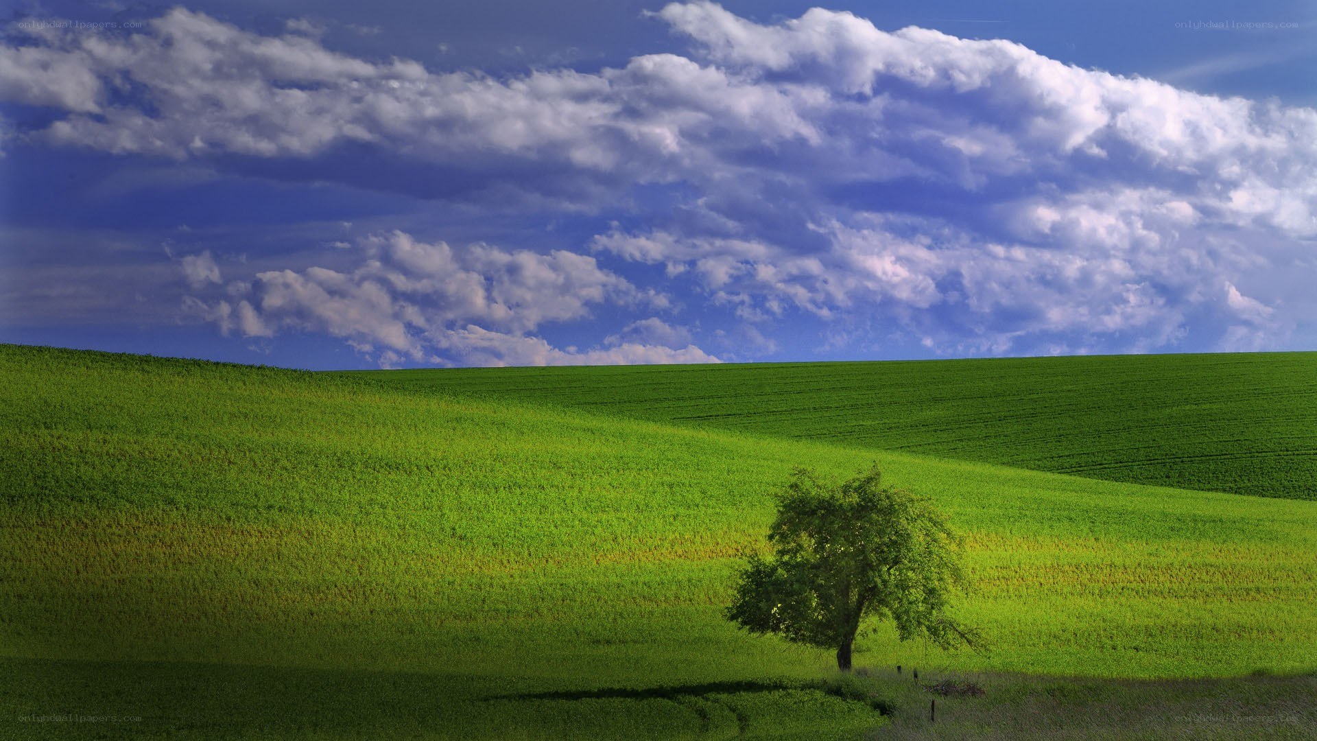 Green hills under cloudy sky
