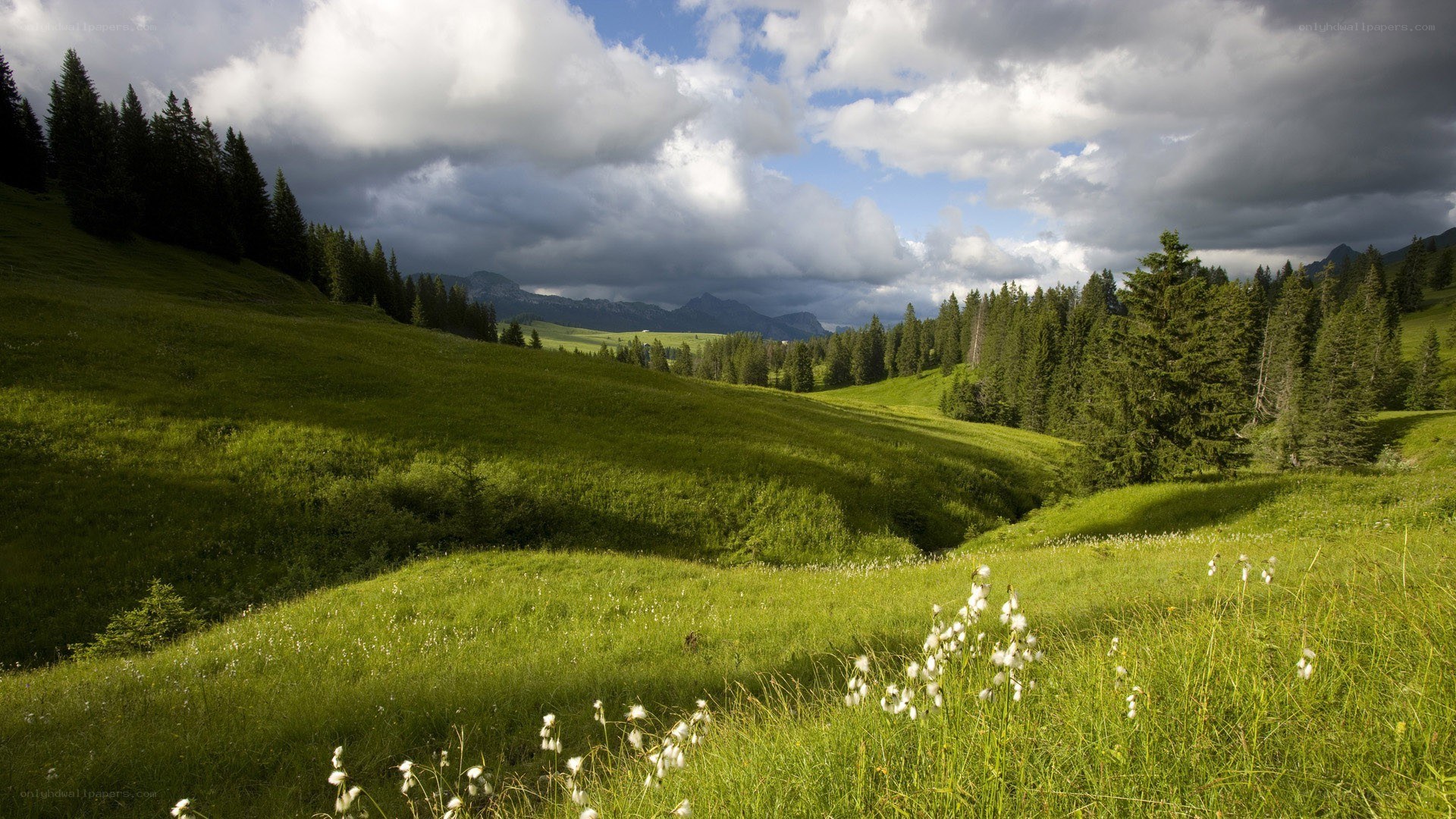 Green hills under cloudy sky