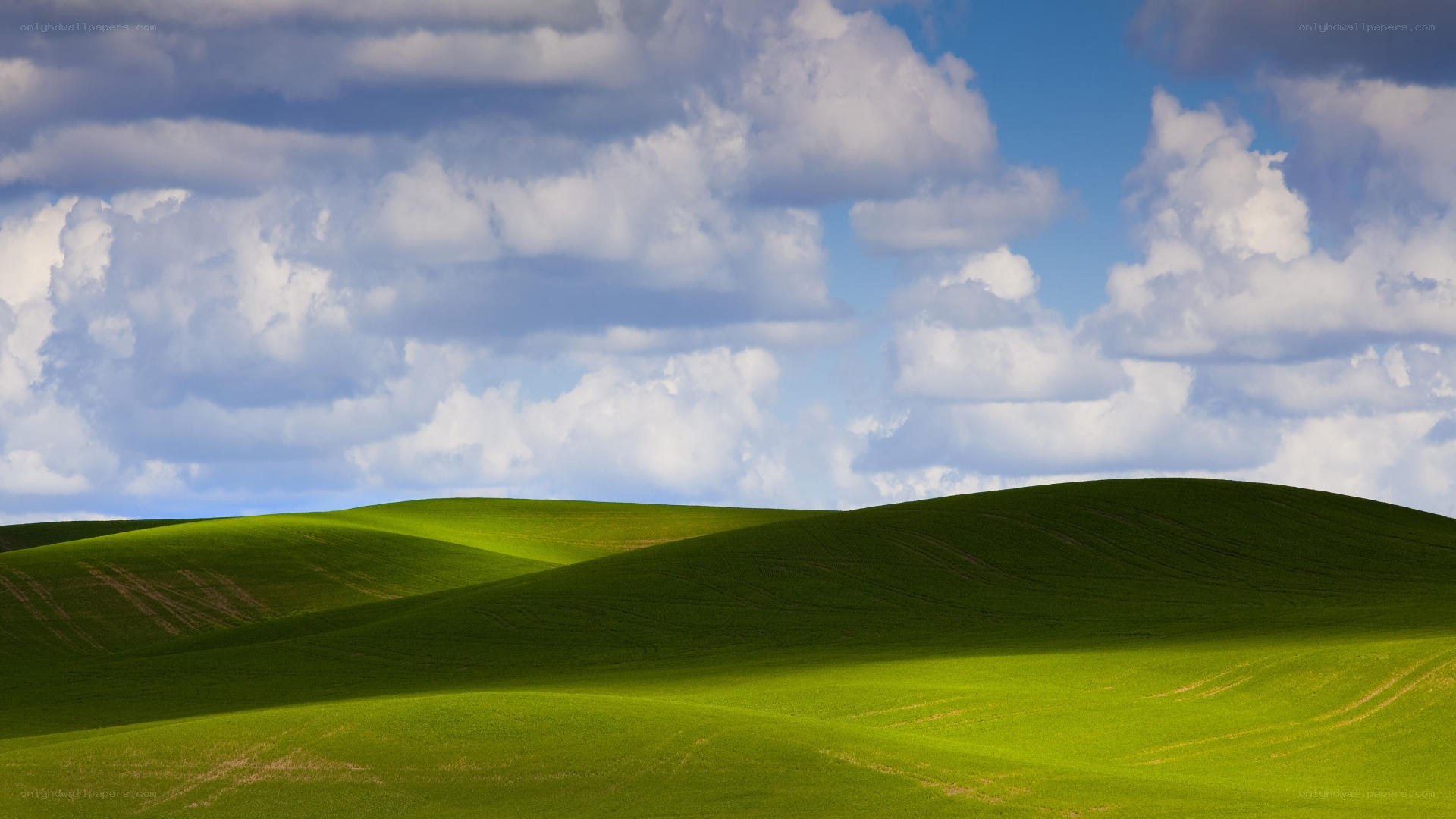 Green hills under cloudy sky