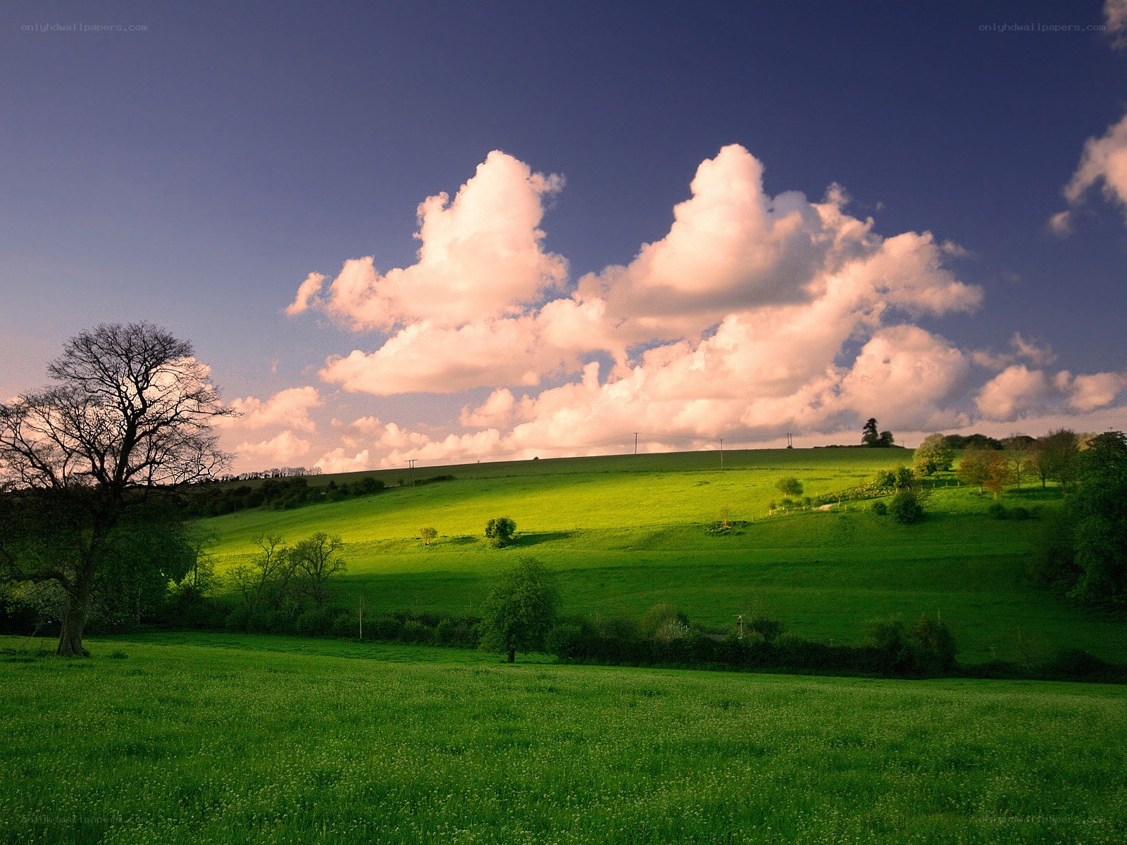 Green hills under cloudy sky